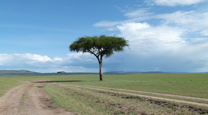 Are you joining our trip to Kenya and Tanzania?