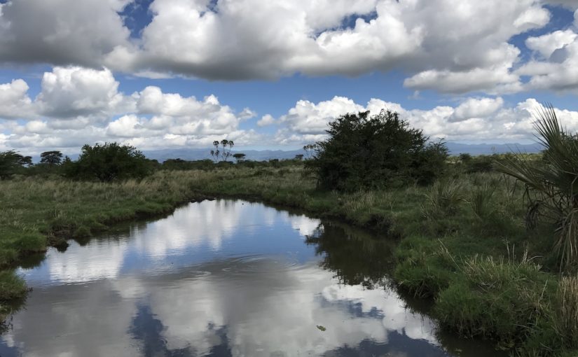 Kenya’s hidden gem: Meru National Park